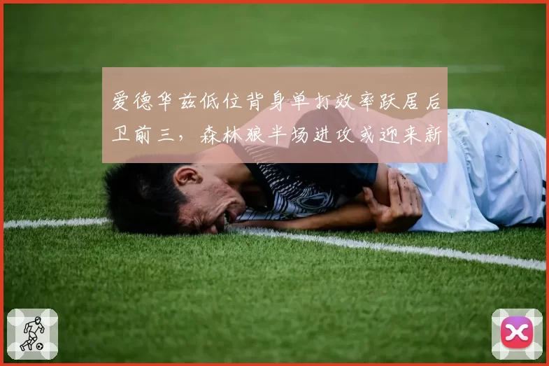 爱德华兹低位背身单打效率跃居后卫前三，森林狼半场进攻或迎来新杀招