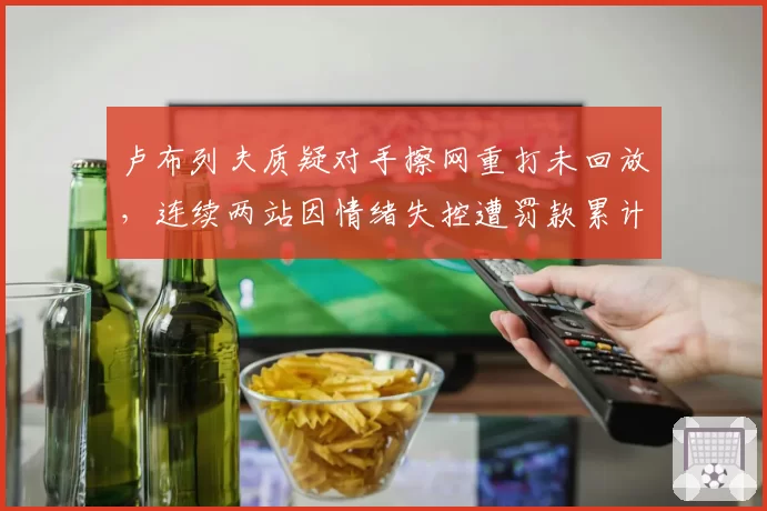 卢布列夫质疑对手擦网重打未回放,连续两站因情绪失控遭罚款累计近2万美元