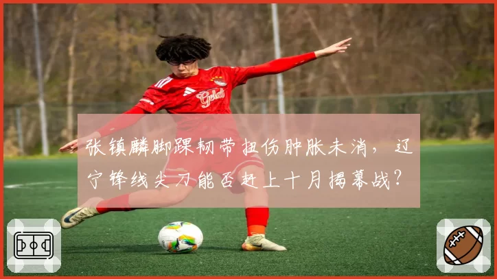 张镇麟脚踝韧带扭伤肿胀未消，辽宁锋线尖刀能否赶上十月揭幕战？