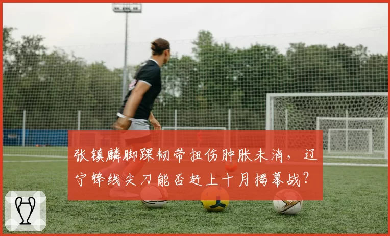 张镇麟脚踝韧带扭伤肿胀未消，辽宁锋线尖刀能否赶上十月揭幕战？